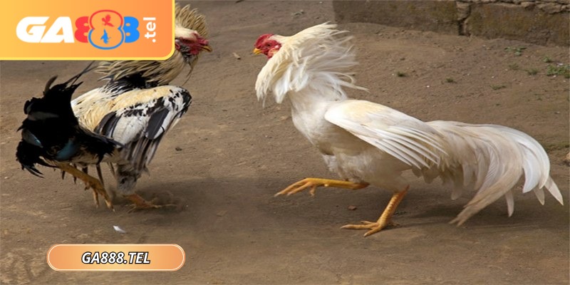 Khi vận động được cá nhân hóa, hiệu suất cải thiện rõ rệt