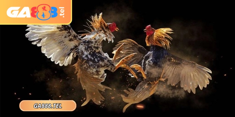 Quản lý vốn một cách thông minh khi tham gia cá cược