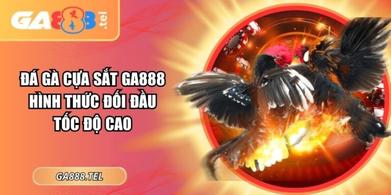 Đá Gà Cựa Sắt GA888 – Hình Thức Đối Đầu Tốc Độ Cao