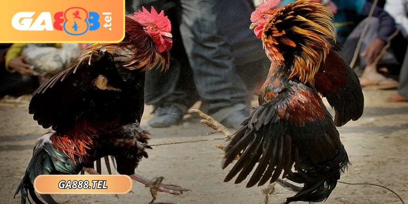 Hệ thống cập nhật kết quả tối ưu hóa nhằm đảm bảo tốc độ