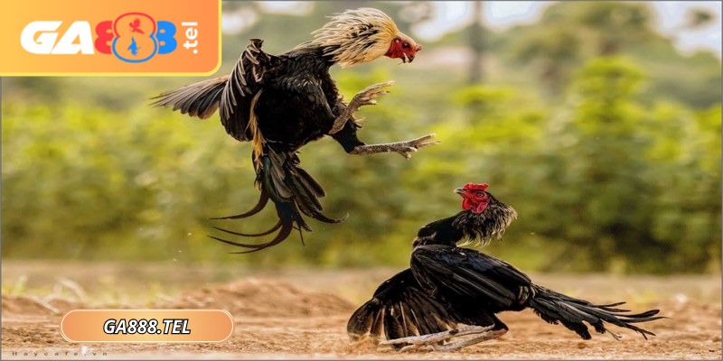 Thời gian thi đấu trong mỗi hiệp được quy định cụ thể