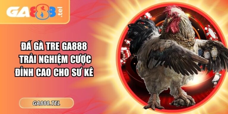 Đá Gà Tre GA888 – Trải Nghiệm Cược Đỉnh Cao Cho Sư Kê