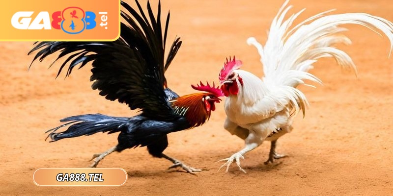 Anh em nên lập kế hoạch quản lý vốn hợp lý
