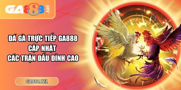 Đá Gà Trực Tiếp GA888: Cập Nhật Các Trận Đấu Đỉnh Cao