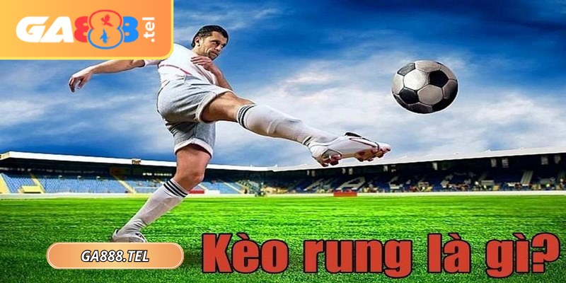 Có nhiều loại kèo rung cho người chơi lựa chọn