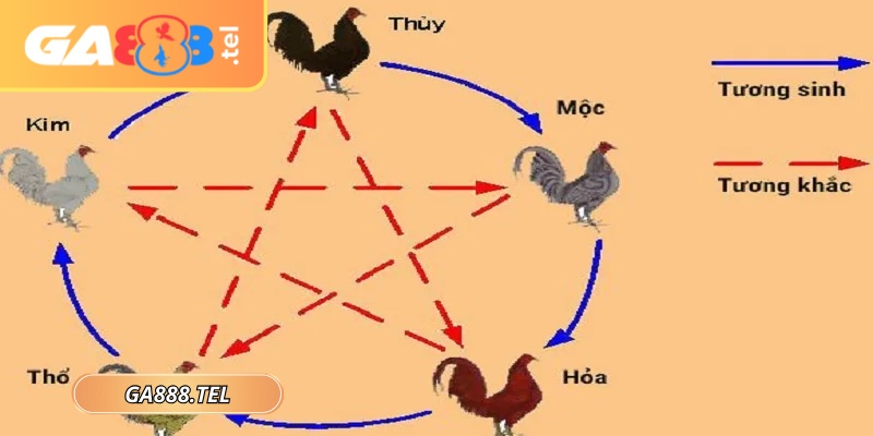 Bạn cần xác định ngày âm lịch thi đấu